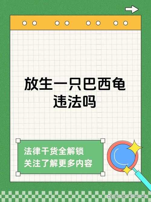 养巴西龟的禁忌和误区，别让它早夭