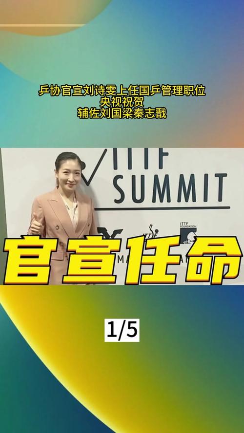 神秘富商是刘诗雯男友？最新消息引发热议