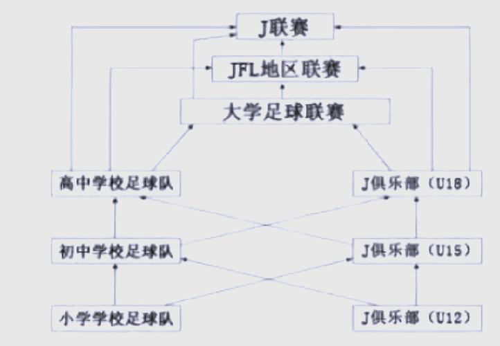 日本职业足球联赛全称是什么？深度解读J联赛