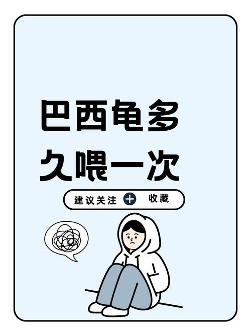 养巴西龟的禁忌和误区，别让它早夭