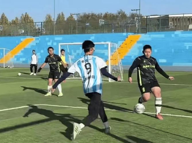 谁是球王足球争霸赛：冠军之路上的热血与激情