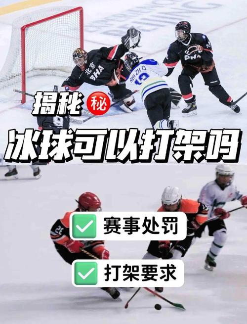 冰球比赛可以打架吗？不同赛事规则大不同！