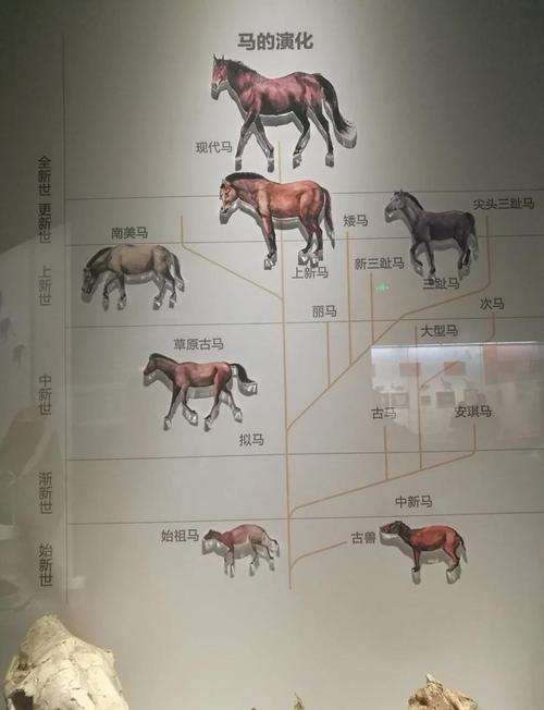 “马航母”的由来：马奎尔转身慢，被解说员戏称为航母调头！