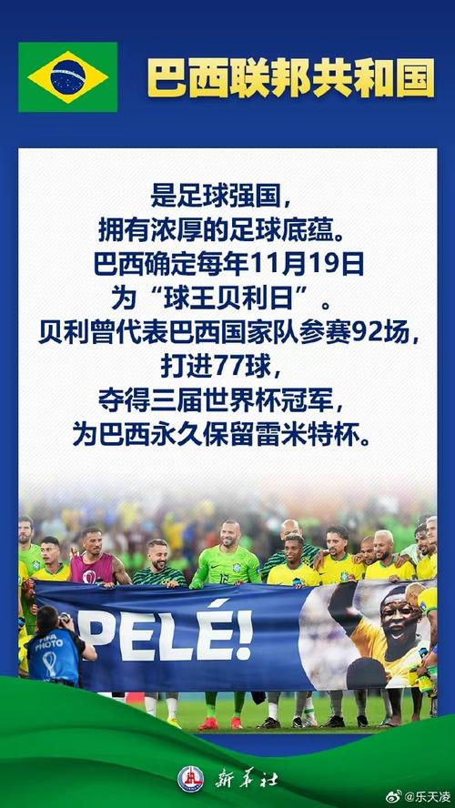 巴西到底是个怎样的国家?揭秘巴西的魅力与挑战