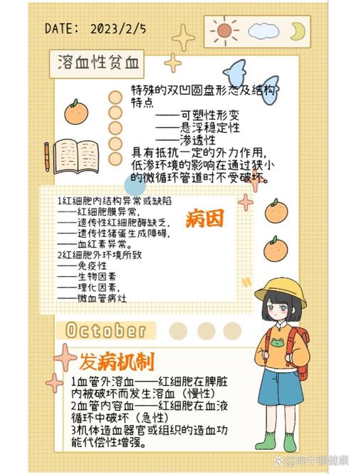 溶血性贫血能彻底治愈吗?你需要了解这些真相