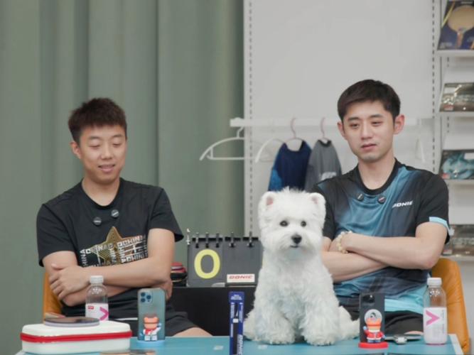 尹航和张继科谁更强？实力对比大揭秘！