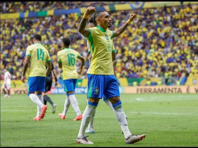 巴西队06年世界杯惨败,究竟输给了哪支球队?