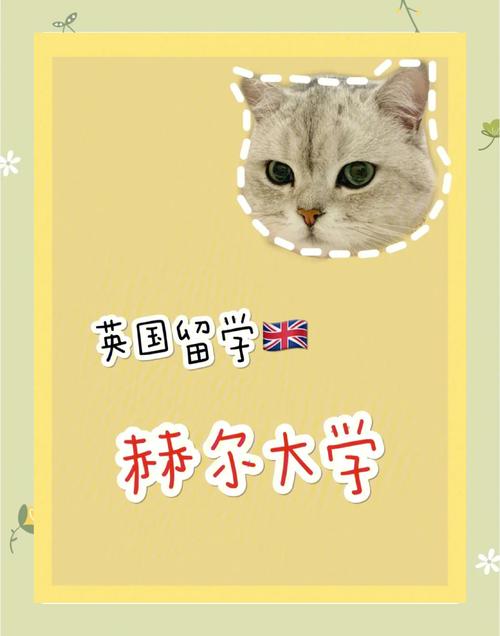 赫尔大学所在的城市是哪里？带你了解赫尔大学的地理位置