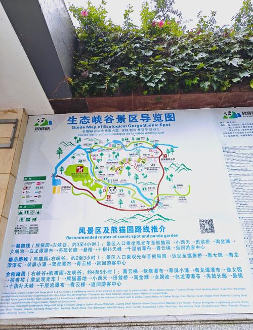 碧峰峡旅游攻略：玩转熊猫、峡谷，最省钱的玩法