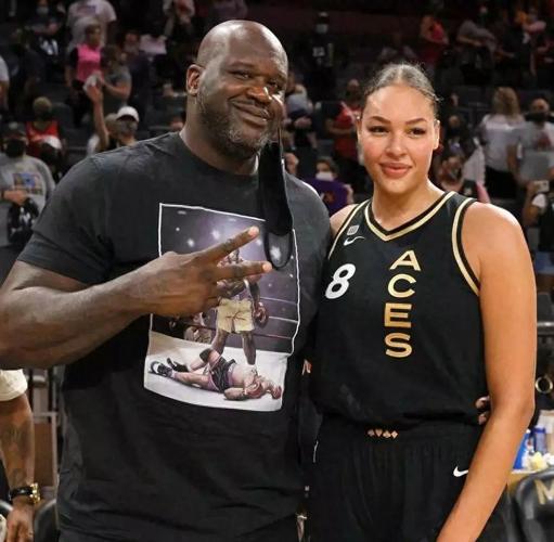 想看坎贝奇第一部?这里告诉你观看地址!