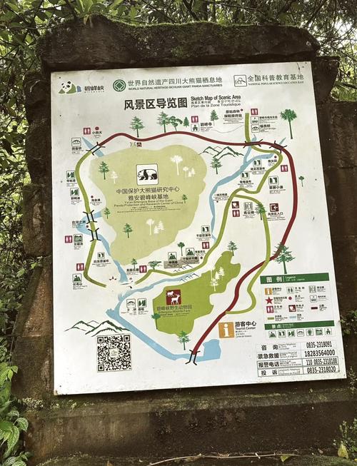 碧峰峡旅游攻略：玩转熊猫、峡谷，最省钱的玩法