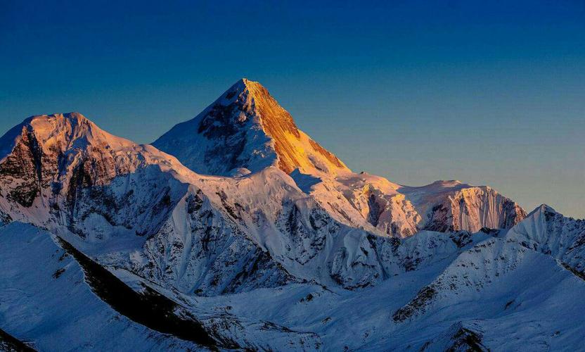 热搜!张修维的家乡在四川的哪个城市?