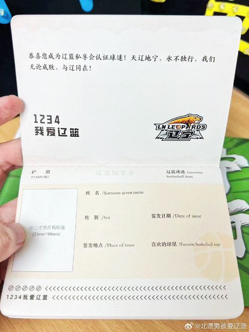 CBA比赛门票：官方渠道、实体店和线上平台哪个好？