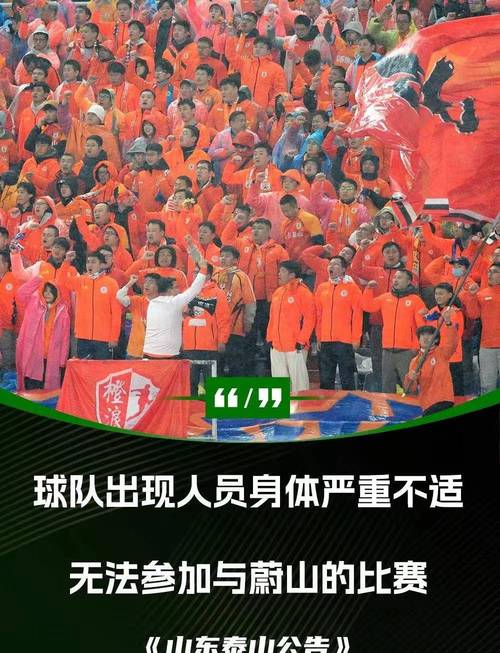 深扒鲁能收购真相：富二代接手背后的隐情