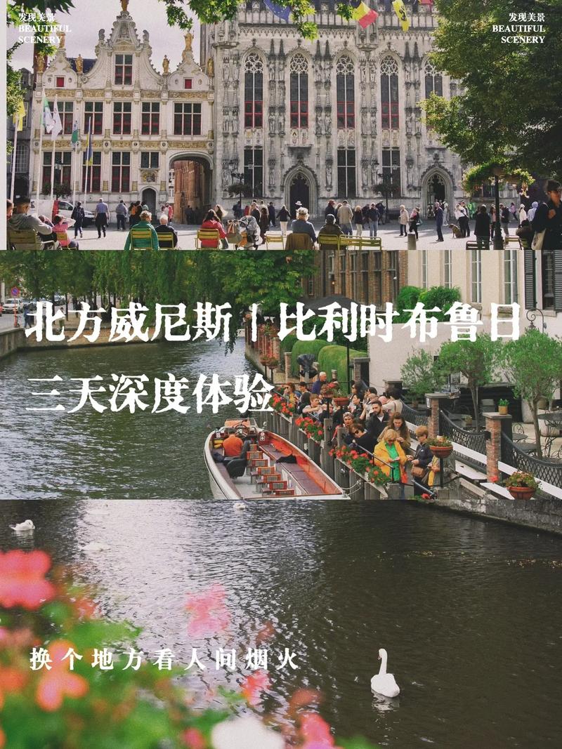 比利时对日本谁更厉害？实力对比深度分析