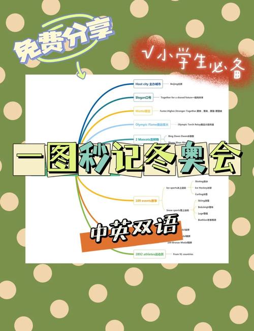 冬奥会都有哪些比赛项目？完整项目清单速览