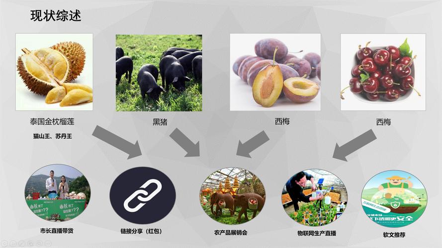 牙买加：发展中国家还是发达国家？深度解析其现状
