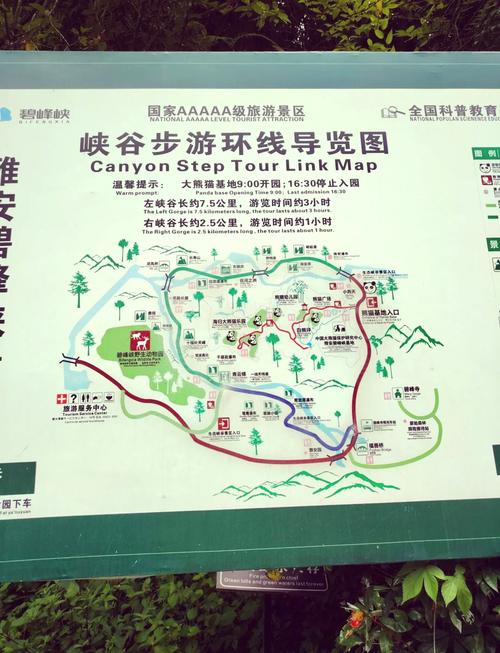 碧峰峡旅游攻略：玩转熊猫、峡谷，最省钱的玩法