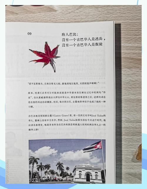 解读古巴与华人之间复杂的历史恩怨