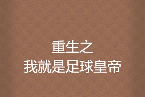 重生之我为足球大帝：我的足球王朝
