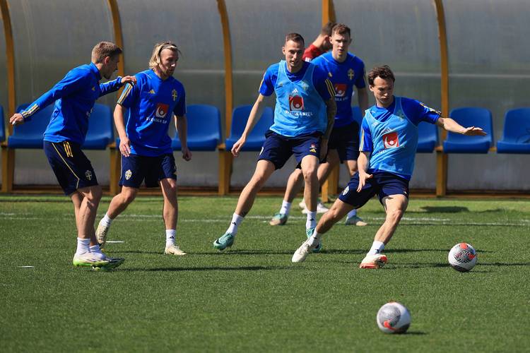 瑞典足球队实力如何？带你深度了解北欧雄狮