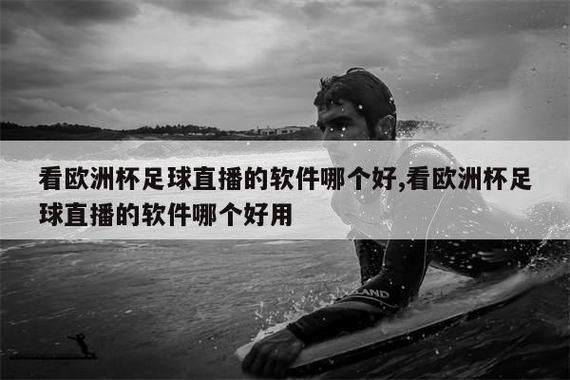 看足球的网站哪个好？免费高清直播网站推荐