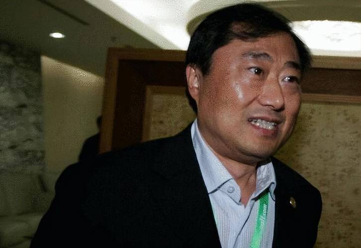 深扒鲁能收购真相：富二代接手背后的隐情