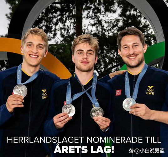 瑞典和韩国巅峰对决,谁的胜算更大?