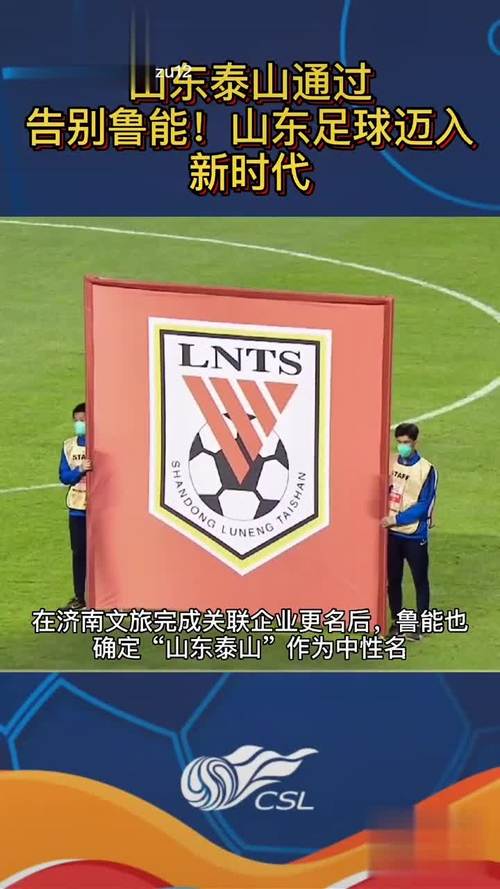山东鲁能为什么改名？中性化命名政策详解