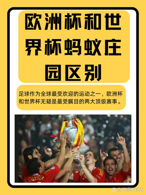 世界杯是什么意思啊？带你了解这项顶级赛事！