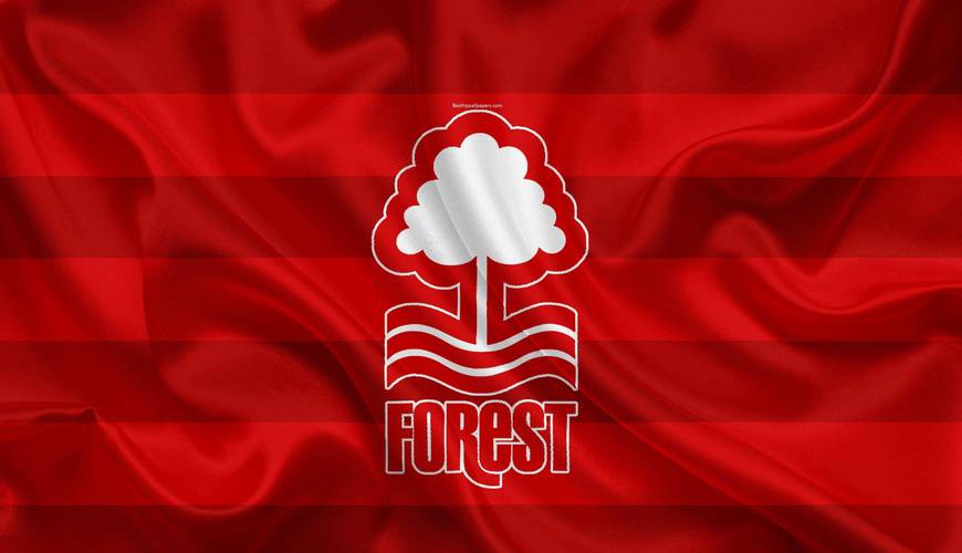 曼联近几个赛季排名变化分析，红魔未来走向何方？