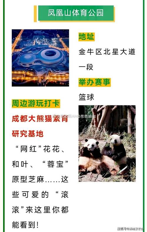 大运会多久举行一次？深度解析大运会赛事周期与发展历程