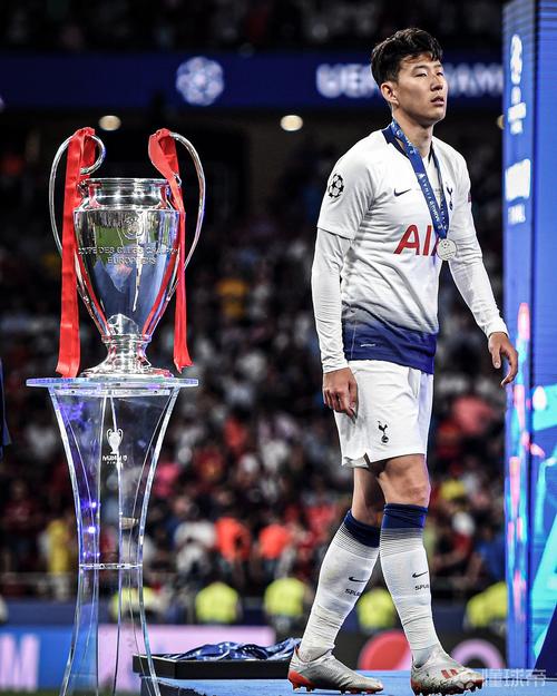 热刺拿过欧冠冠军吗?看看热刺的欧冠征程与遗憾