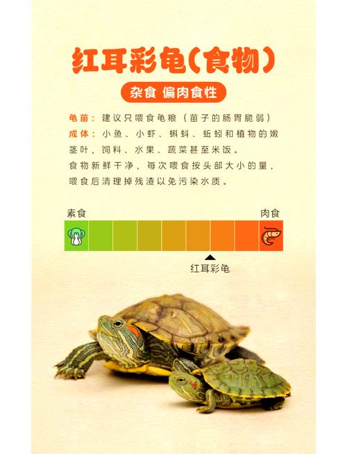 想让巴西龟长得快？这些喂养方法你都知道吗？