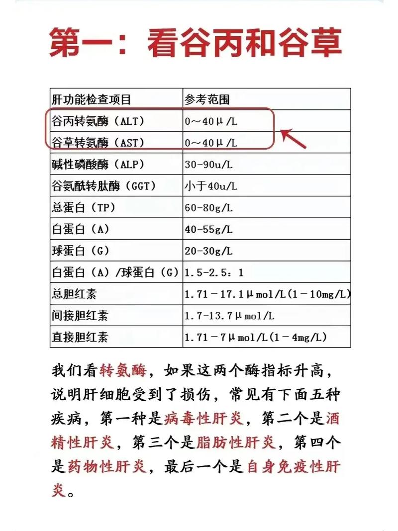 想做肝功能检查，该挂哪个科室？医生建议去哪个科？