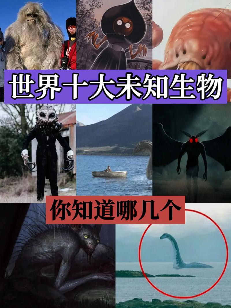 尼斯湖水怪是真的吗？科学解释告诉你！