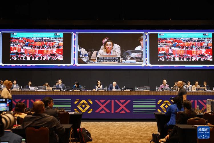 巴拉圭是发达国家还是发展中国家？深度解析其国情