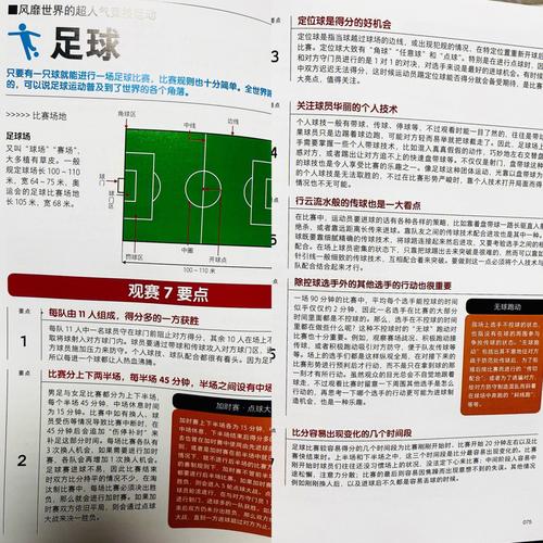 世界杯足球是几号球？揭秘官方比赛用球标准