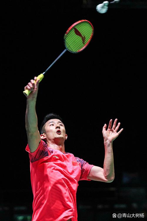 羽毛球冠军谌龙，名字到底怎么读？