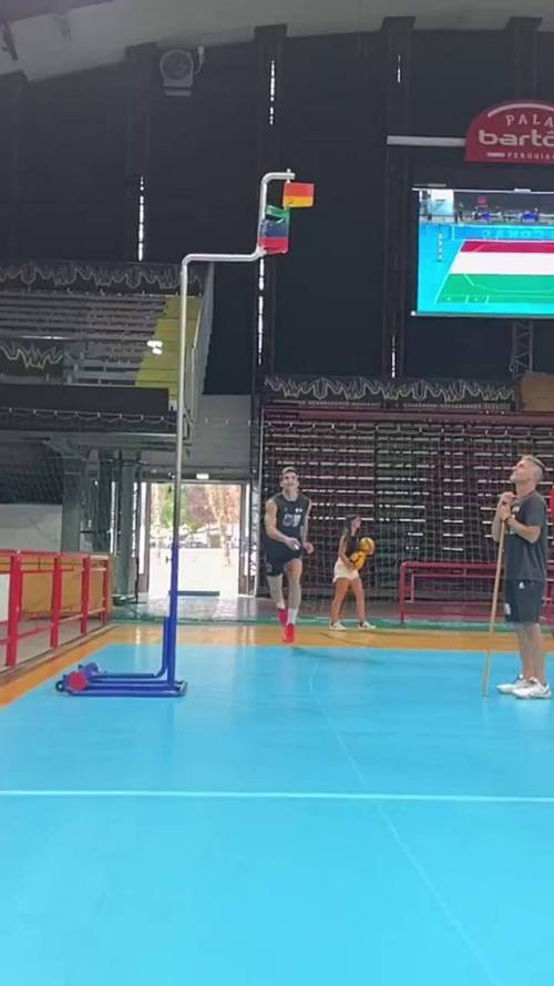 男排球员的身高和弹跳力谁最强？“大鸟”称号的由来！