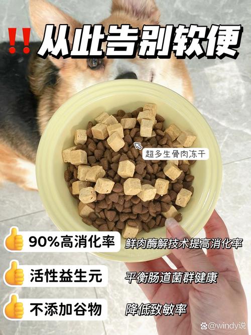 如何喂养威尔士柯基犬？不同年龄段的饮食差异