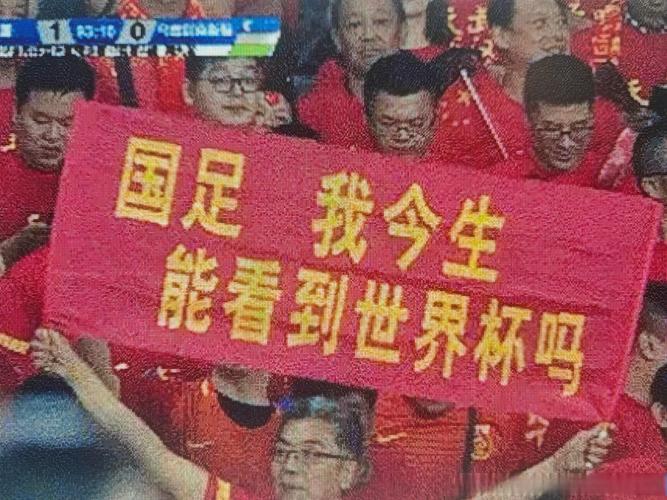 中国将申办世界杯？球迷期待与现实挑战