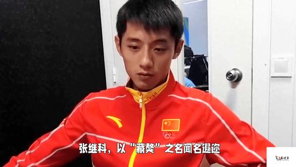 速度与稳定：张继科和马龙谁的打法更具优势？