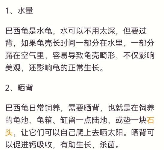 想养巴西龟？新手必看喂养指南及食谱！