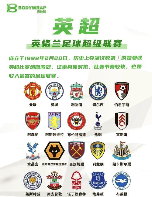 德国足球联赛有多少级？等级划分及球队构成详解