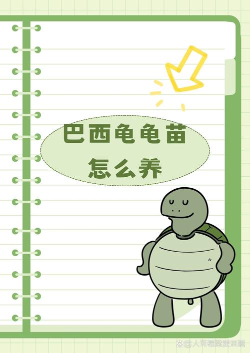 想养巴西龟？新手必看喂养指南及食谱！