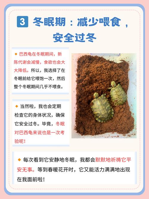 巴西龟真的不能养吗？看完这些你就明白了！