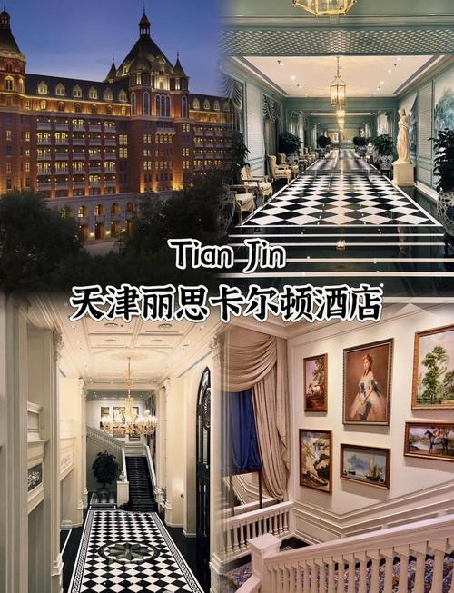 丽思卡尔顿酒店是几星级酒店？揭秘其奢华背后的故事