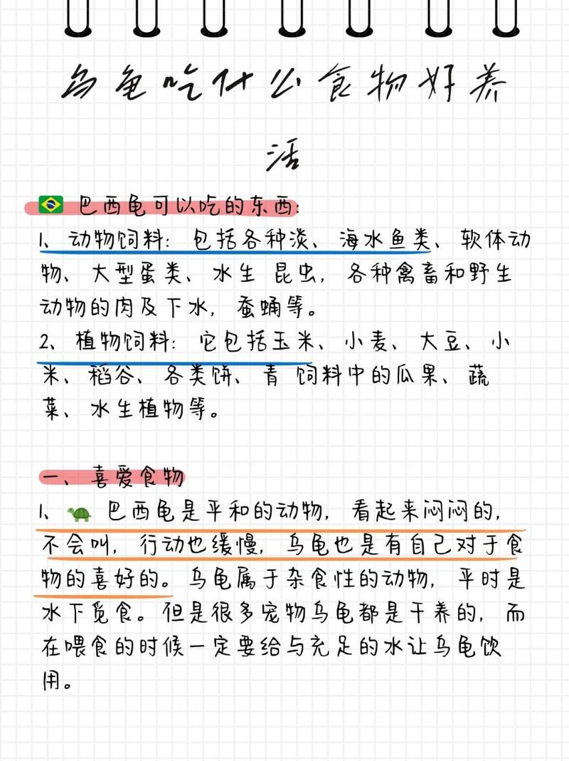 巴西龟吃什么长得快？营养食谱推荐