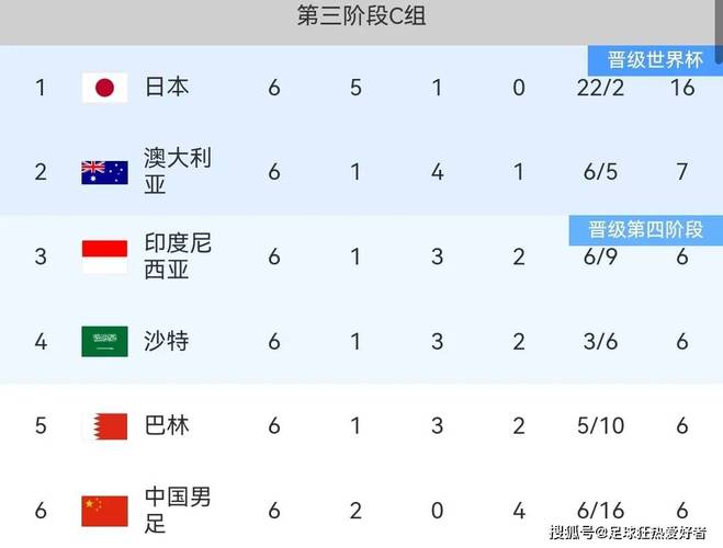 最新世界杯出线球队统计：究竟有多少队伍晋级？